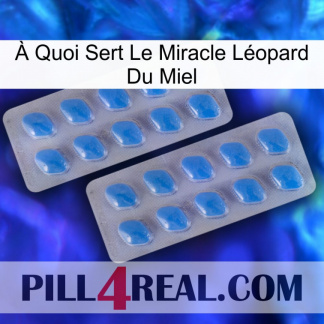 À Quoi Sert Le Miracle Léopard Du Miel 23
